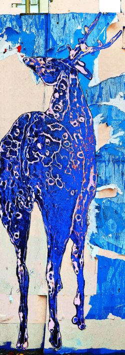 1973259_10101367625808711_1816042329974457377_o-1